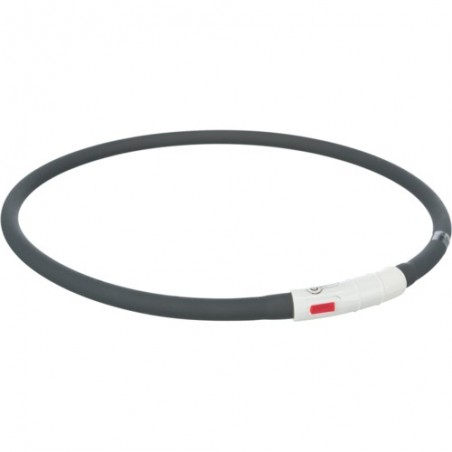 Collar de Aro Flash USB