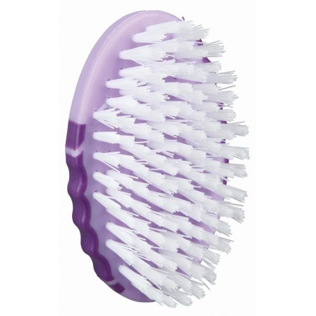 In Style cepillo púas de nylon, 10,5 x6 cm