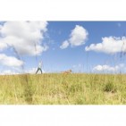 Correa de Rastreo Easy Life