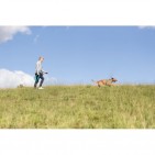 Correa de Rastreo Easy Life