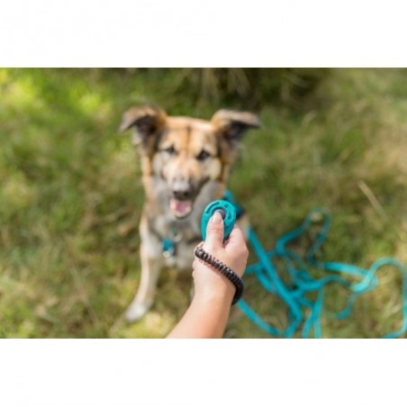 Correa de Rastreo Easy Life