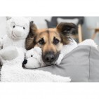 Be Eco Burrito Elenor