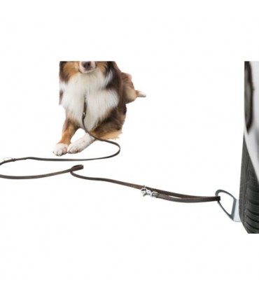 Placa de accionamiento con soporte