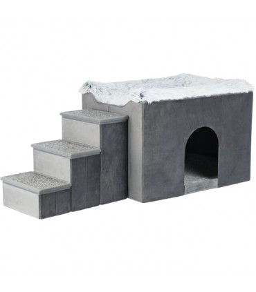 Cueva Harvey con escaleras