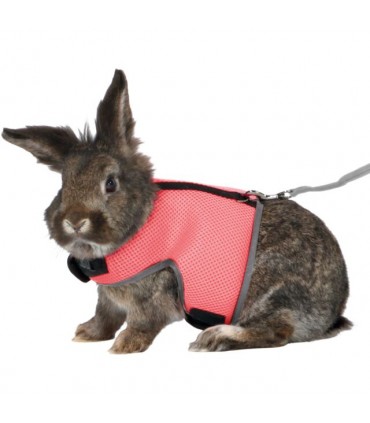 Arnés Suave con Correa