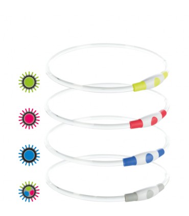 Collar de Aro Flash USB
