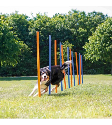 Eslalon para Agility