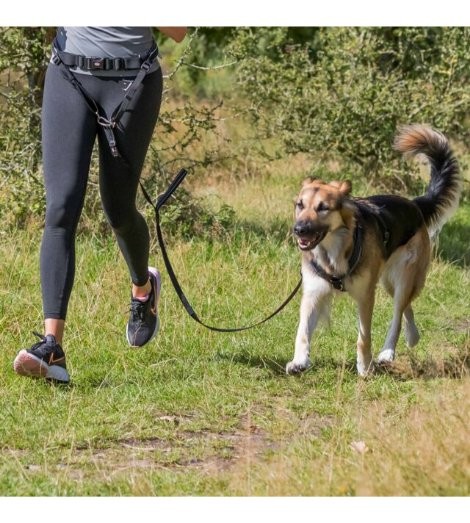 Cinturón con Correa Canicross