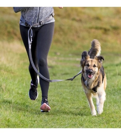 Cinturón con Correa