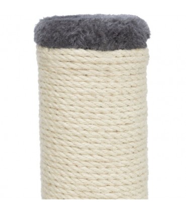 Poste Rascador Batres