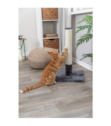 Poste Rascador Batres