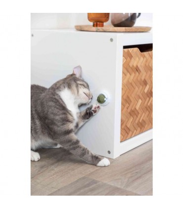 Pelota de hierba gatera con soporte