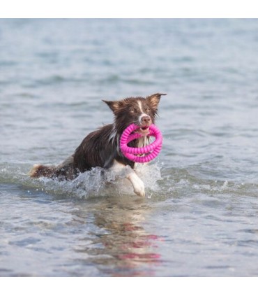 Juguete Acuático Anillo