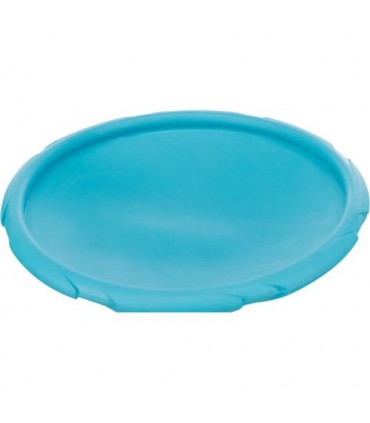 Frisbee