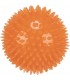 Pelota Erizo