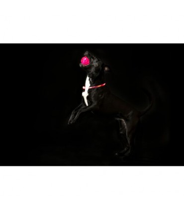Pelota con luz