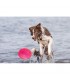 Frisbee