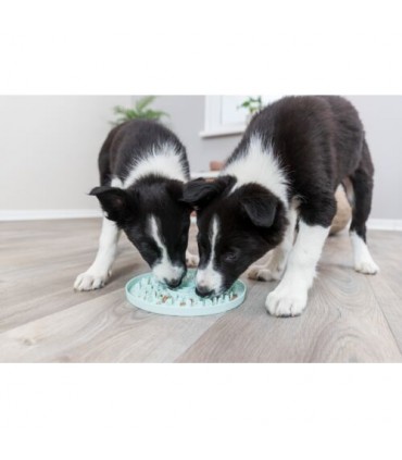 Junior Bandeja para Lamer