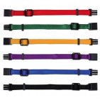 Set de Collar Cachorros