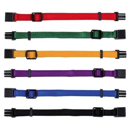 Set de Collar Cachorros