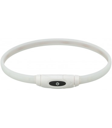Collar de Aro Flash USB