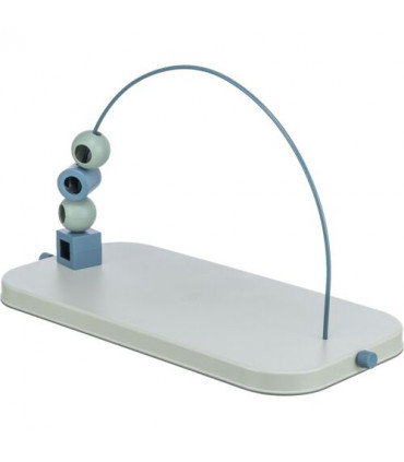 Dog Activity Skills Loop