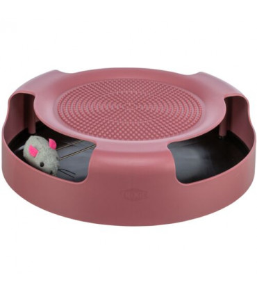 Juego Atrapa el Ratón