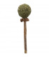 Catnip/Matatabi Lolli