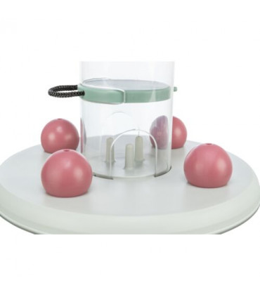 Cat Activity Gambling Tower