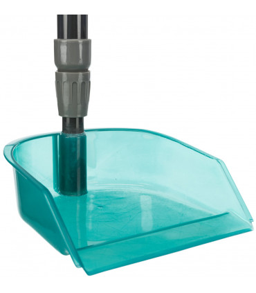 Recogedor con Rastrillo