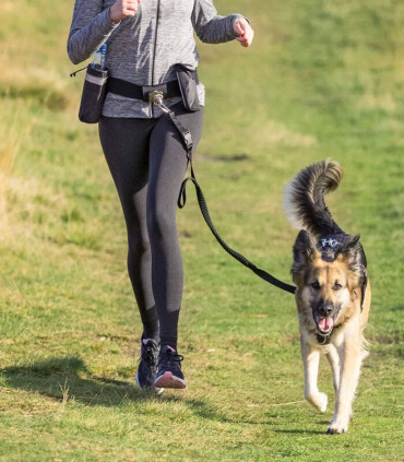 Cinturón con Correa Canicross