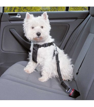 Arnés para Coche