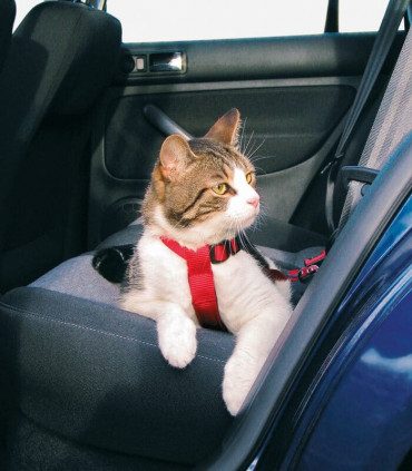 Arnés para Coche para gatos
