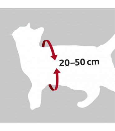 Arnés para Coche para gatos