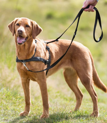 Arnés Guía Lead'n'Walk Soft