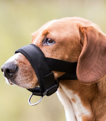 Bozal con lazo acolchado