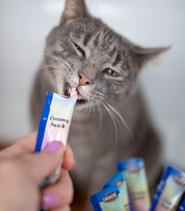 Snack cremoso de atún y gambas