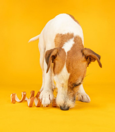 Curls con pechuga de pollo