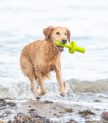 Juguete Acuático MOT®-Aqua