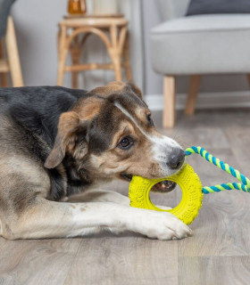 Neumático con Cuerda