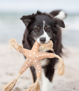 BE NORDIC Estrella de Mar Jane