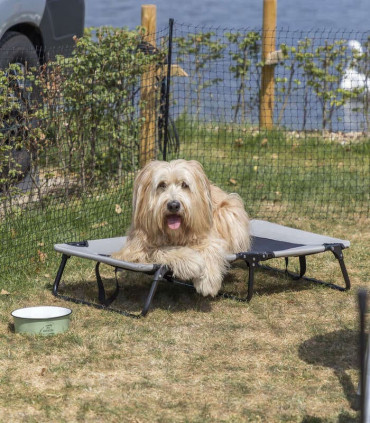 Tumbona Camping para perros