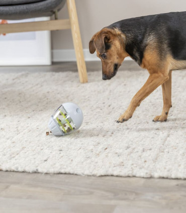 Huevo para Snacks con Voltereta