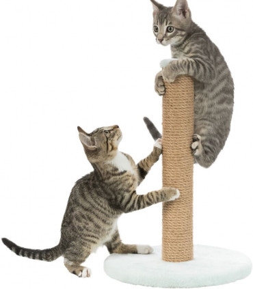 Junior Poste Rascador