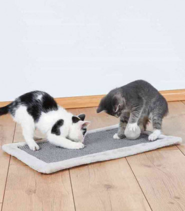 Alfombrilla Rascadora