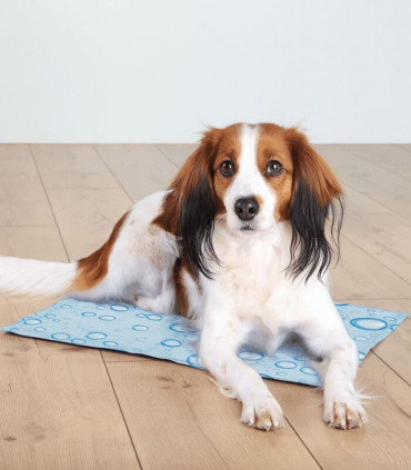 Alfombrilla Refrescante