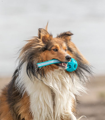 Bola nido de abeja con Cuerda