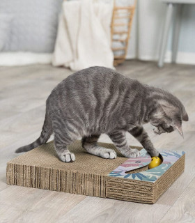 Tabla Cartón Rascadora