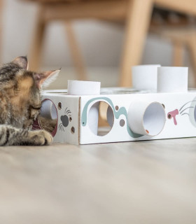 Cat Activity Paws'n'Treats