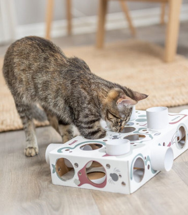 Cat Activity Paws'n'Treats